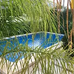 Castillitos En El Aire En Lo Alto Del Montgo-denia-piscina Villa